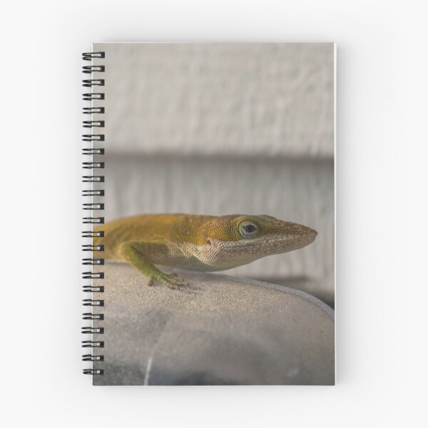 Item preview, lizard 4 designed and sold by KensLensDesigns.