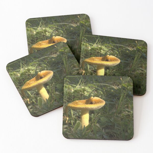 Item preview, Forset mushroom designed and sold by Mike Cicero.