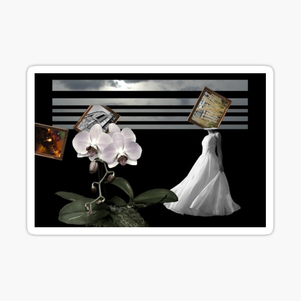 Different View Sticker