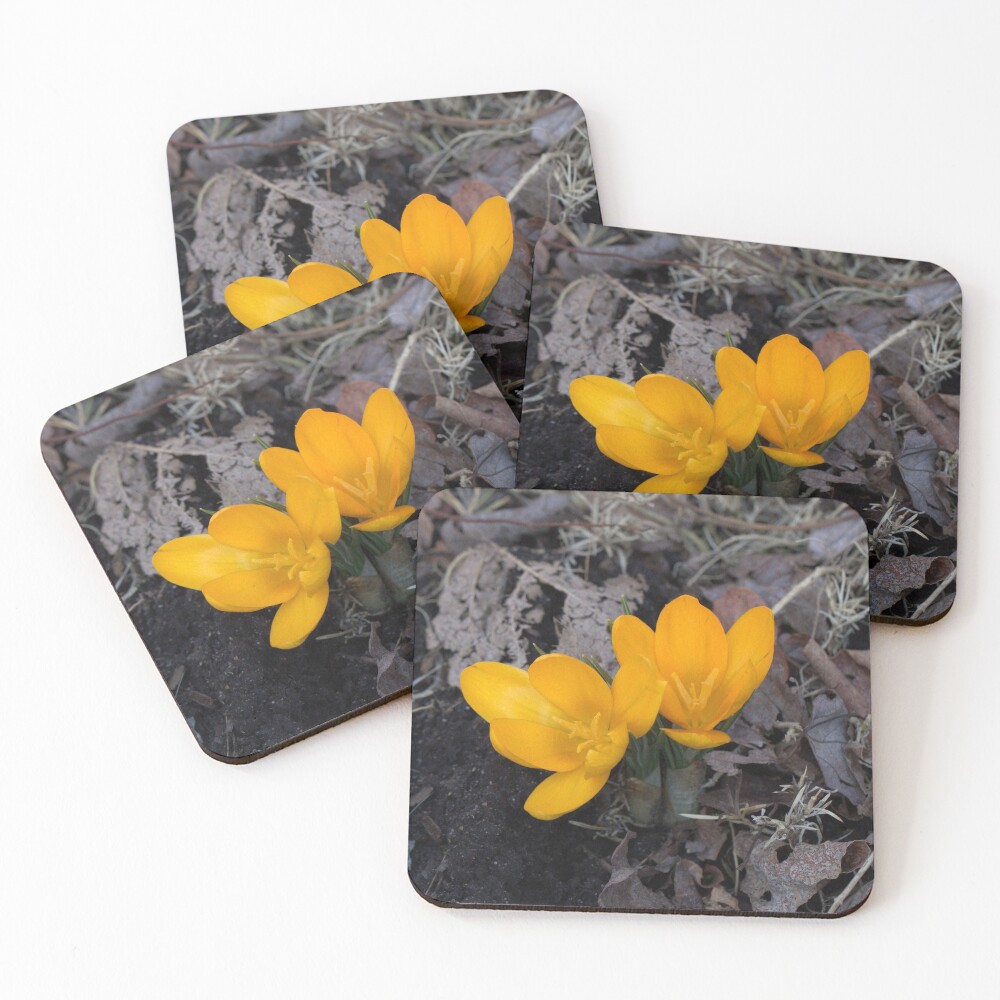 Item preview, Coasters (Set of 4) designed and sold by Riddick4x5.