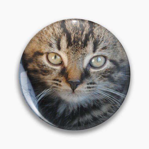 Item preview, Chilled Out Kitty designed and sold by InterestingImag.
