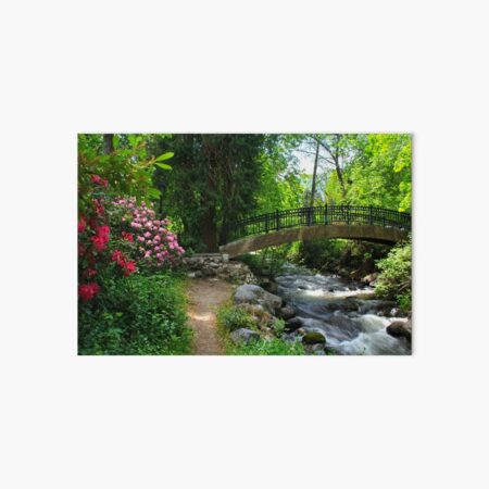 Lilith Park Art Board Print