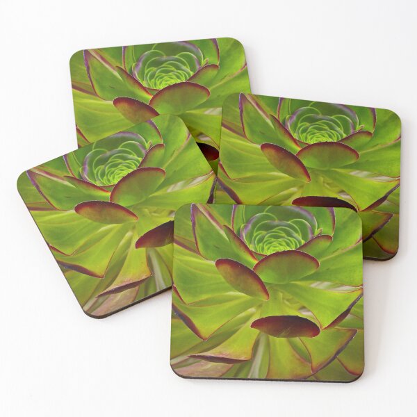 Item preview, Nature Patterns designed and sold by Barbara  Brown.