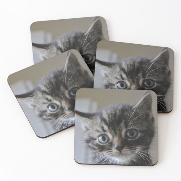 Item preview, Cutest kitten ? designed and sold by InterestingImag.