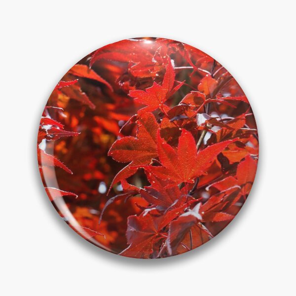 Item preview, Japanese Maple Tree designed and sold by walkswithnature.