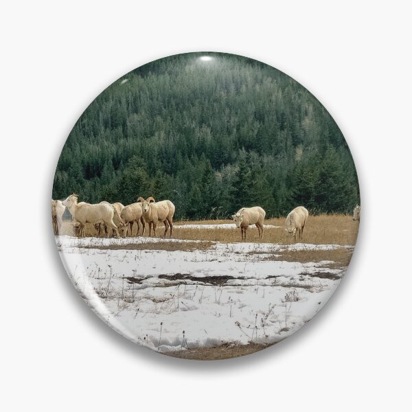 Item preview, Canadian Mountain Goats designed and sold by JNTravels.