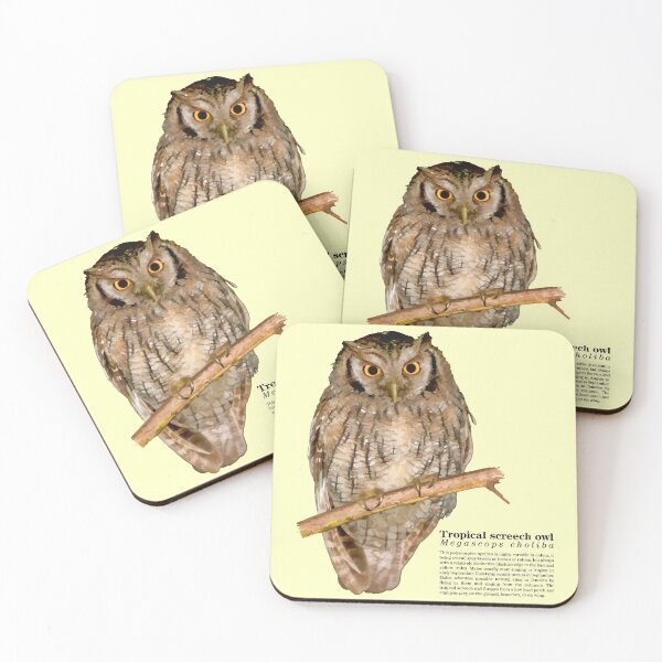 Item preview, Tropical screech owl on a tree early in the morning designed and sold by Mauricio Acosta.