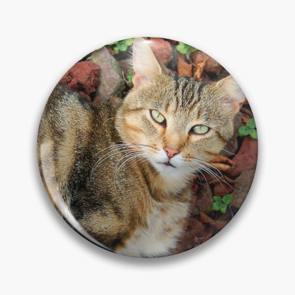 Item preview, Buddy Kitty designed and sold by Amber Ryder.