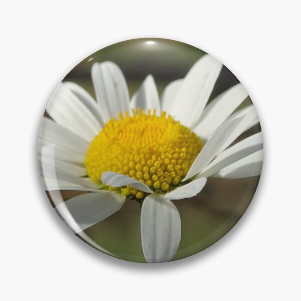 Item preview, Ox Eye Daisy designed and sold by Barrie Woodward.
