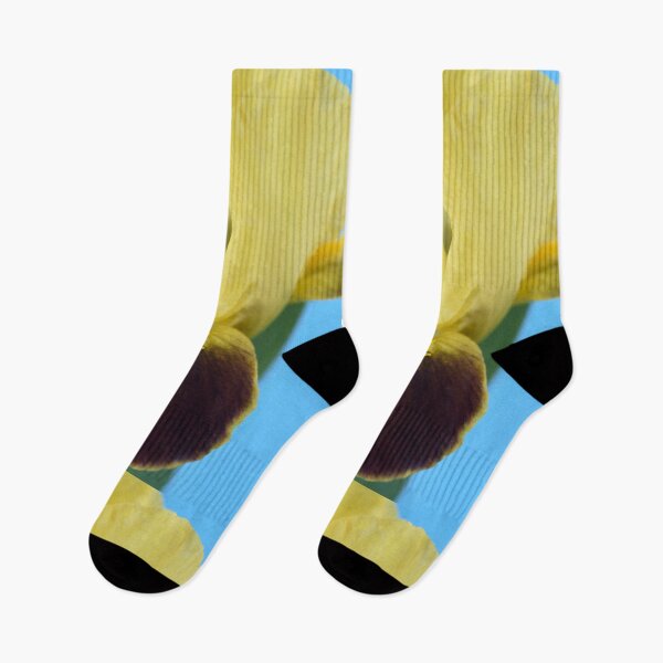 Item preview, Bearded iris designed and sold by Chris Burrows.