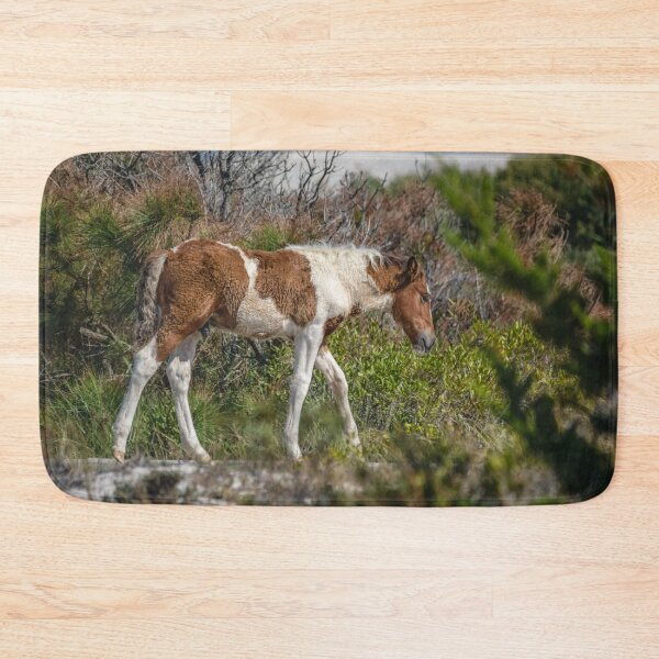 Item preview, Assateague Island Horse designed and sold by Leslie Banks.