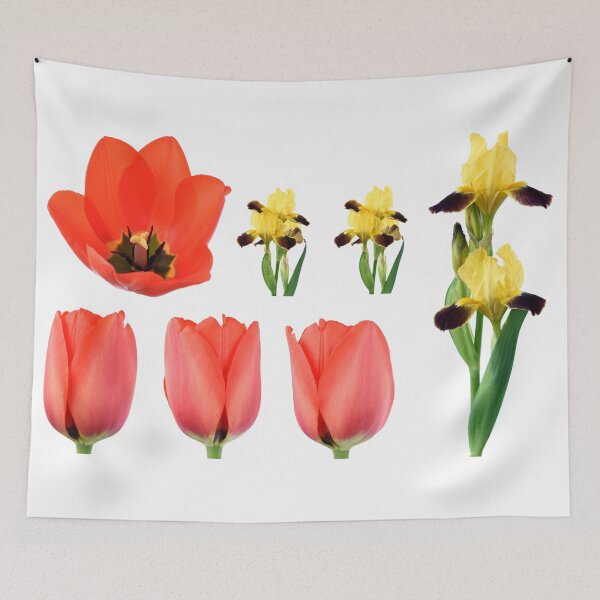 Item preview, Bearded iris and red tulip designed and sold by Chris Burrows.