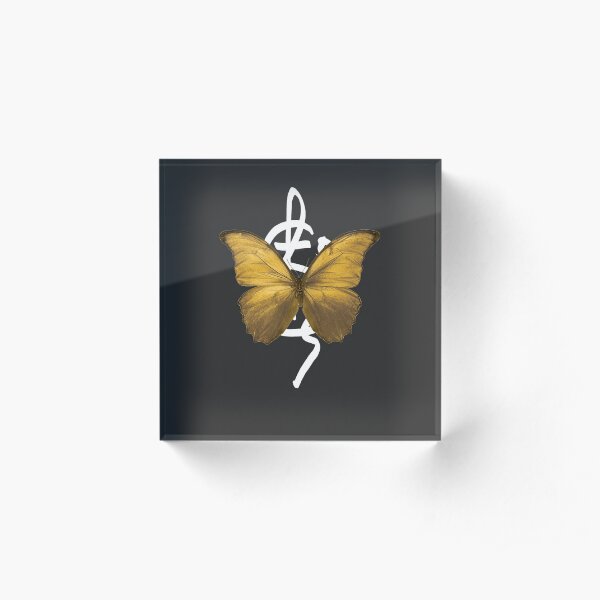Butterfly gold - be transformed! Acrylic Block