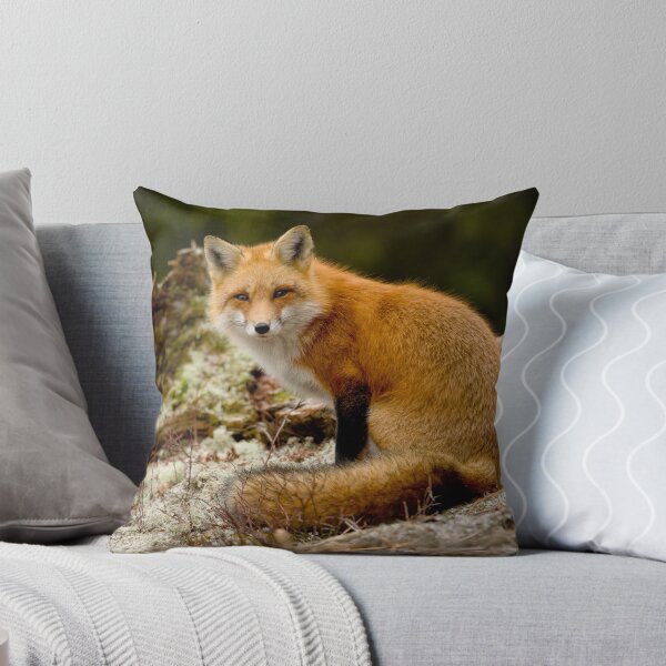 Red Fox Throw Pillow