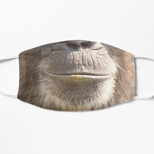 chimp mask Flat Mask