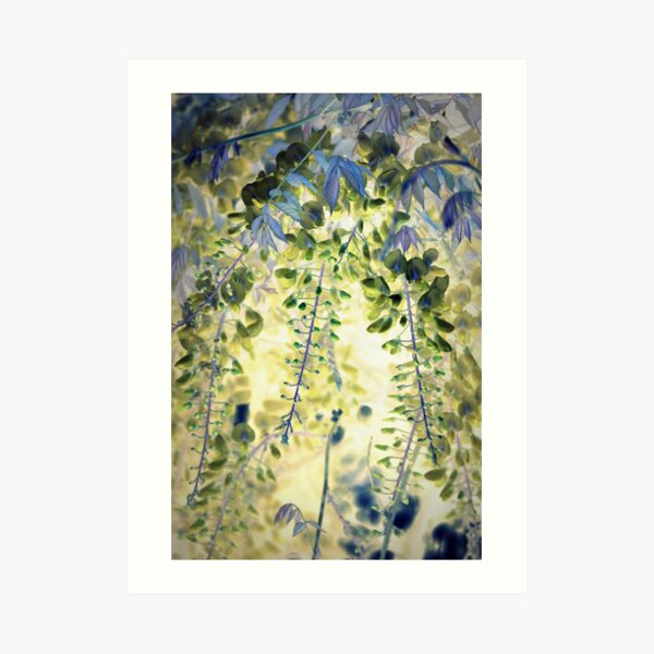 Wisteria Art Print