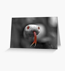 All Things Small and Beautiful. Greeting Card