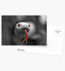 All Things Small and Beautiful. Postcards