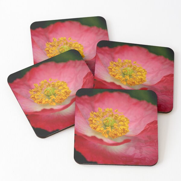 Item preview, Fiesta designed and sold by Barbara  Brown.