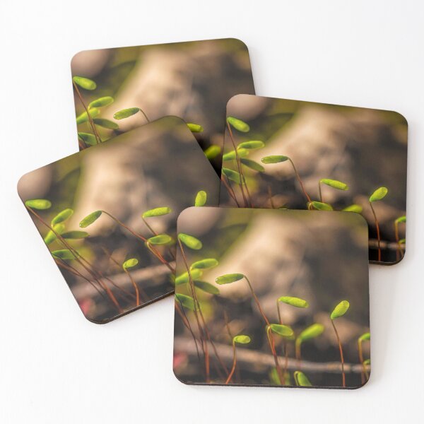 Item preview, Macro world 13 designed and sold by Veikko  Suikkanen.