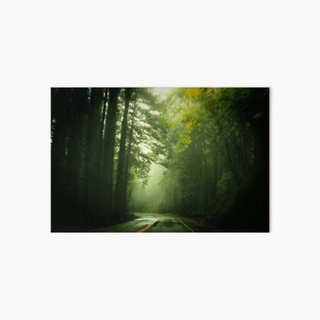 Driving Through Fog Art Board Print