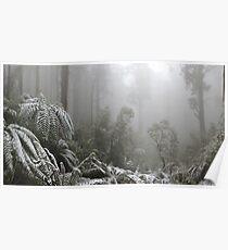A Forest of Ash and snow Poster