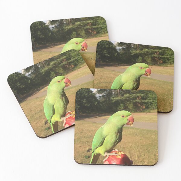 Item preview, Red Apple. Green Bird. designed and sold by Hann Regan  Photography.