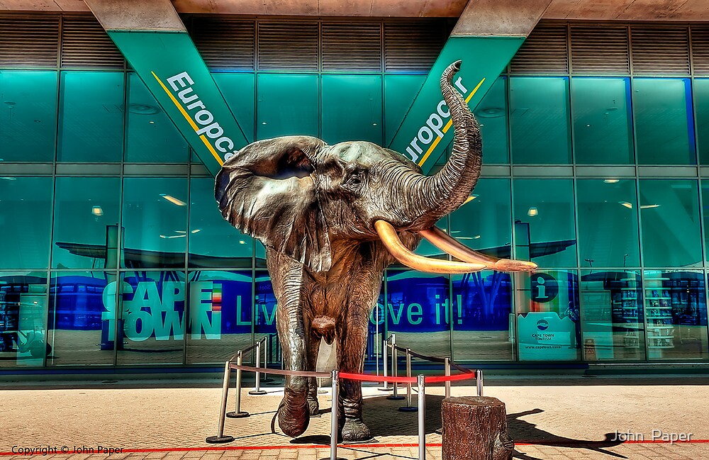 "Elephant Statue at Cape Town International Airport, South Africa" by