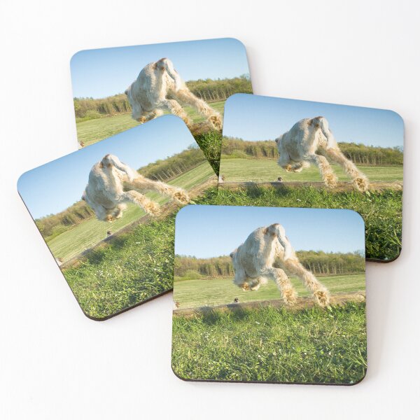 Item preview, Leaping logs Spinone designed and sold by FOLK ART FUSION by heidiannemorris.