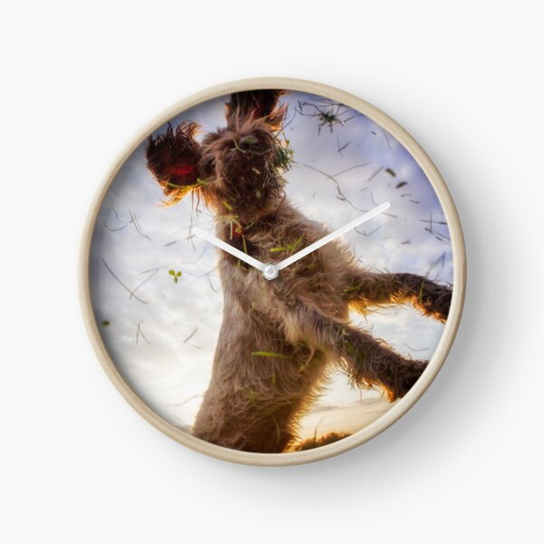 Leaping for clover Spinone Clock