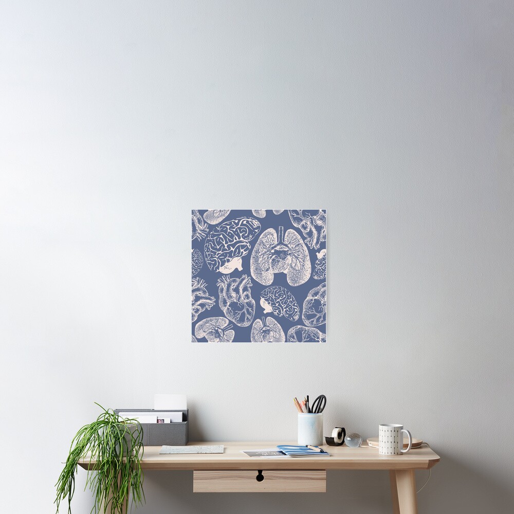 Anatomical Organs - White on Blue Poster