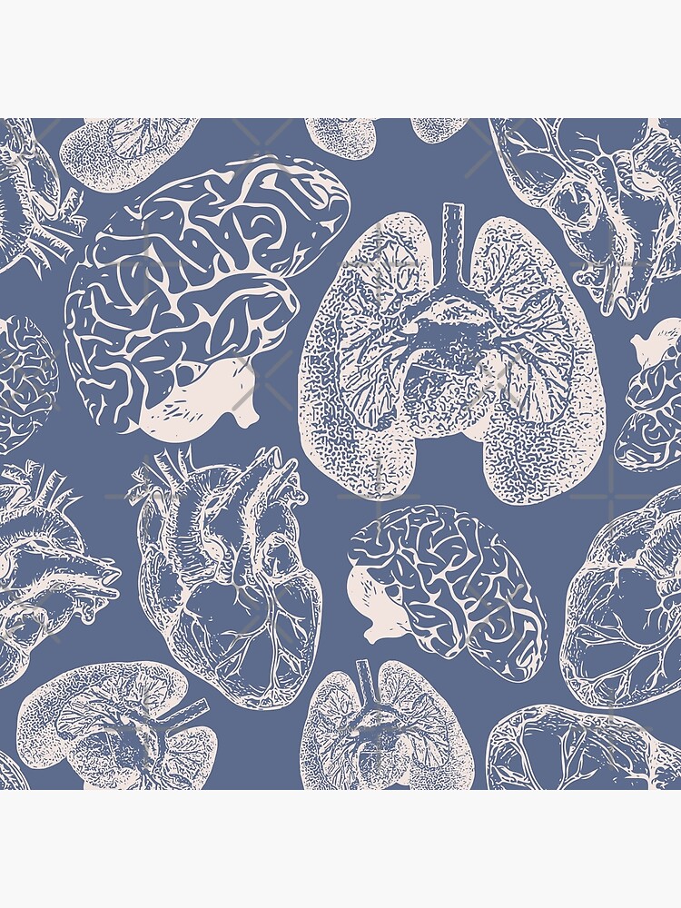 Anatomical Organs - White on Blue by beththompsonart