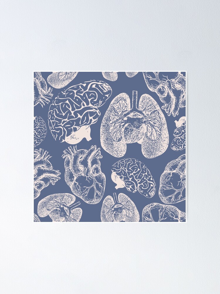 Alternate view of Anatomical Organs - White on Blue Poster