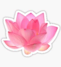 pink lotus Sticker