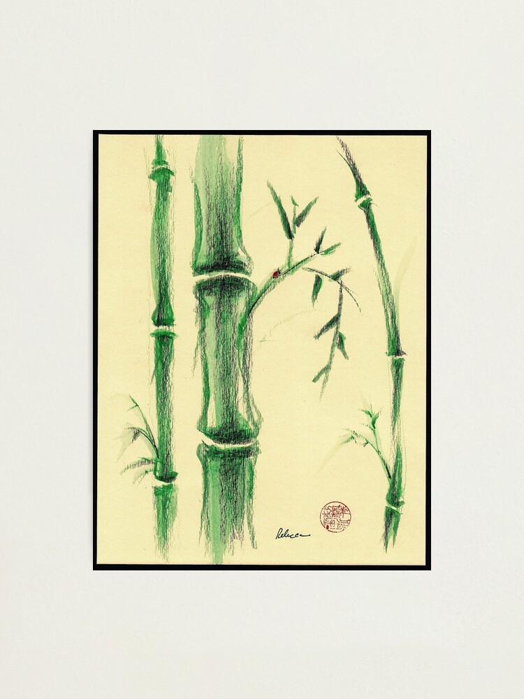 Happiness Zen Bamboo Prisma Pencil And Watercolor Drawing Photographic Print By Tranquilwaters Redbubble