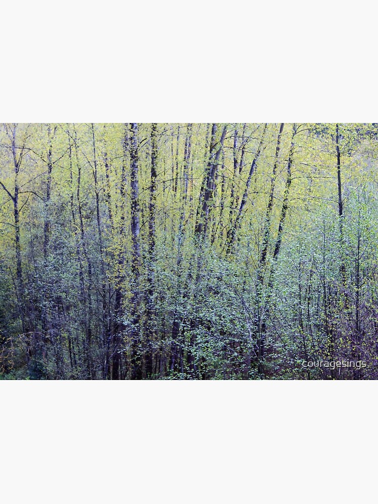 Spring Forest Trees2 by couragesings