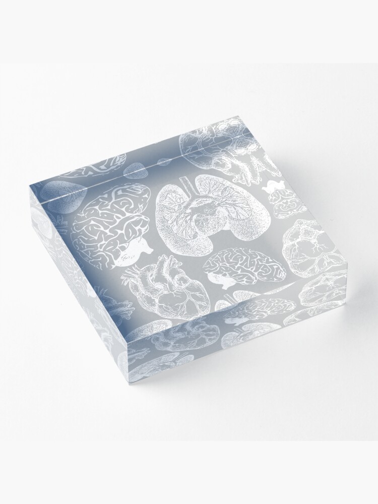 Alternate view of Anatomical Organs - White on Grey Acrylic Block