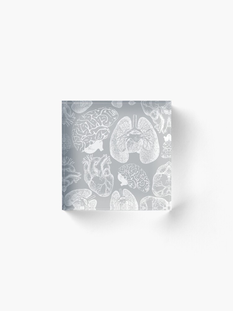 Alternate view of Anatomical Organs - White on Grey Acrylic Block
