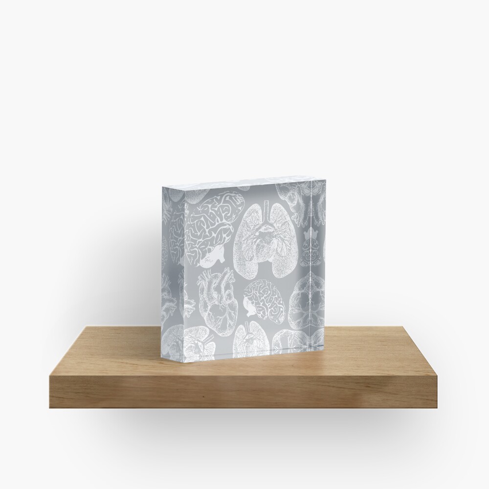 Anatomical Organs - White on Grey Acrylic Block