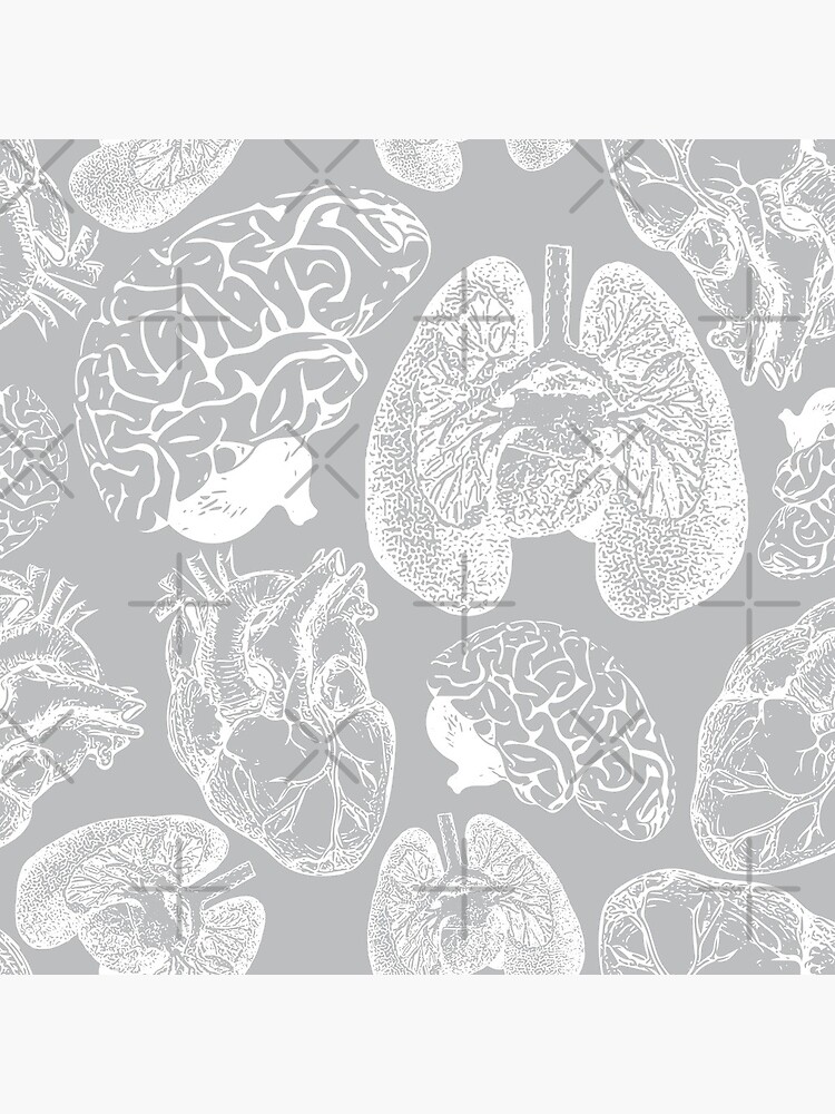 Anatomical Organs - White on Grey by beththompsonart