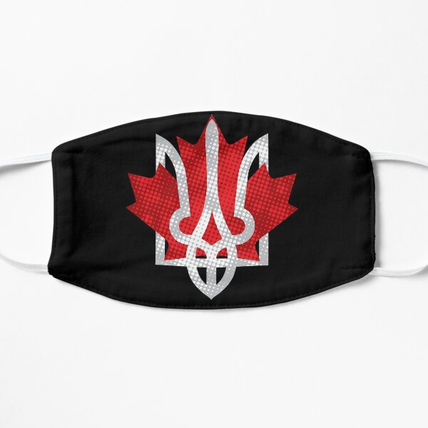 wwe shield mask