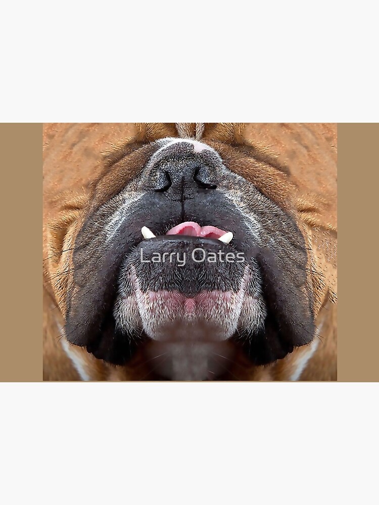 "Underbite Pooch" Mask for Sale by ZeroAlphaActual Redbubble