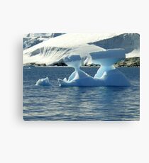 Ice Sculptures Canvas Print
