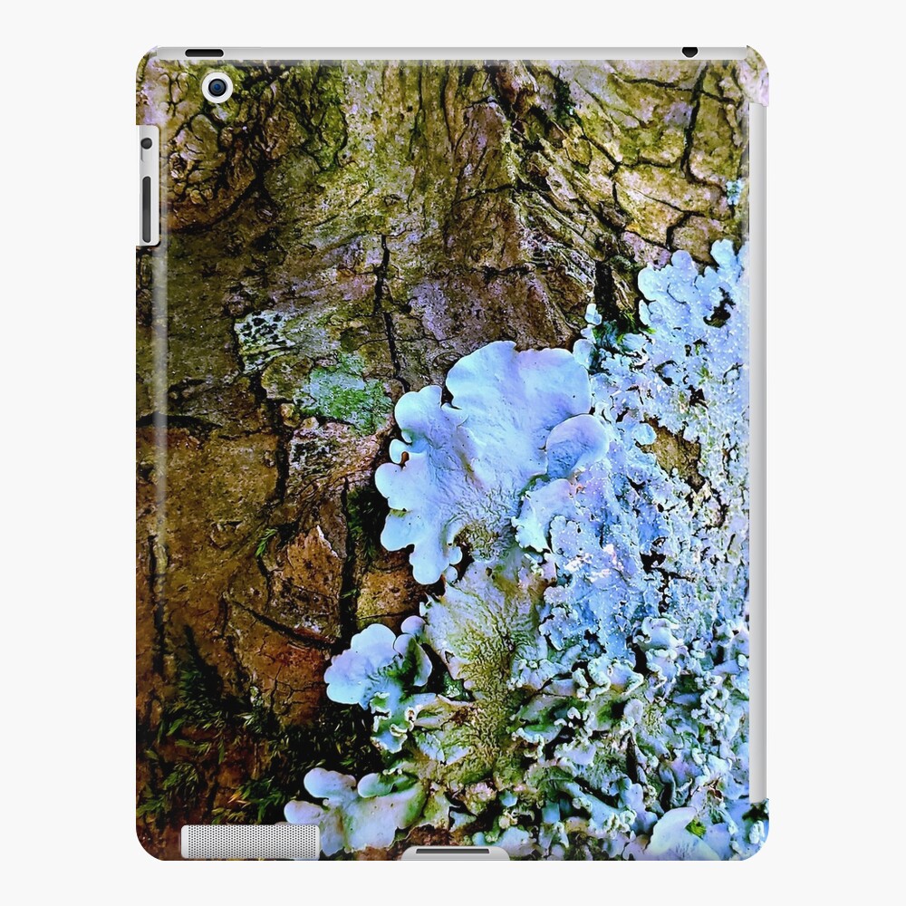 Item preview, iPad Snap Case designed and sold by dreamie09.