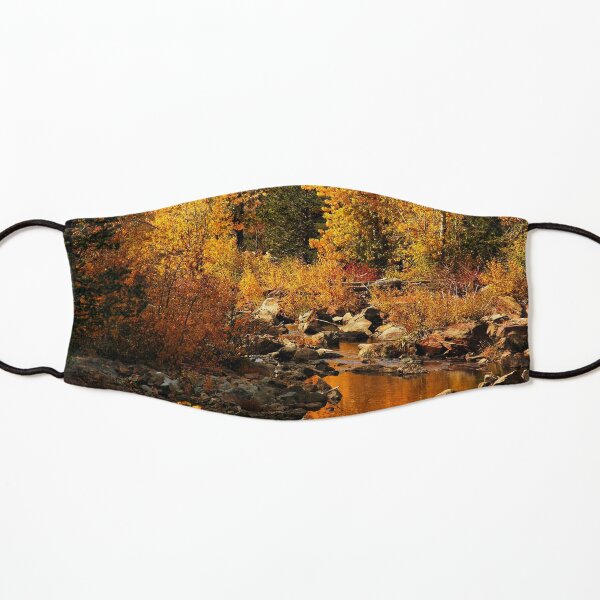 Sierra Gold Kids Mask