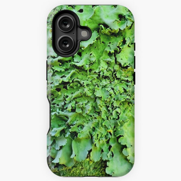 I lichen you 3! Classy Camo iPhone Tough Case