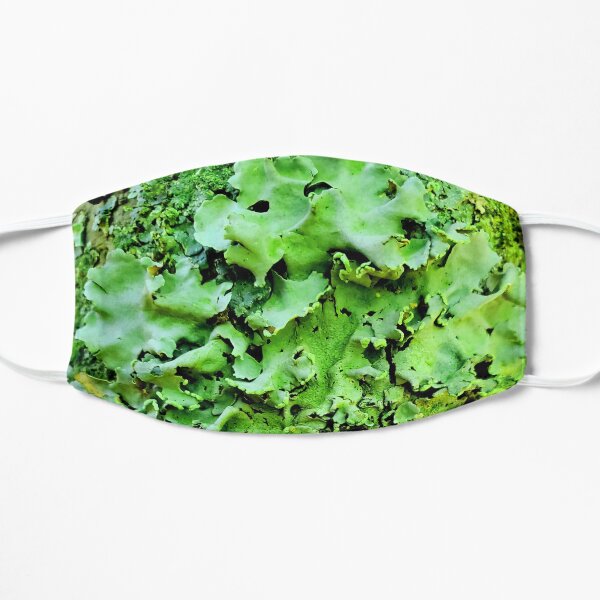 I lichen you 3! Classy Camo Flat Mask