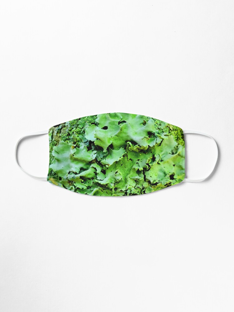 Alternate view of I lichen you 3! Classy Camo Mask