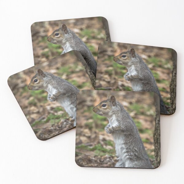 Item preview, Squirrel Standing Up designed and sold by Ian Christopher.
