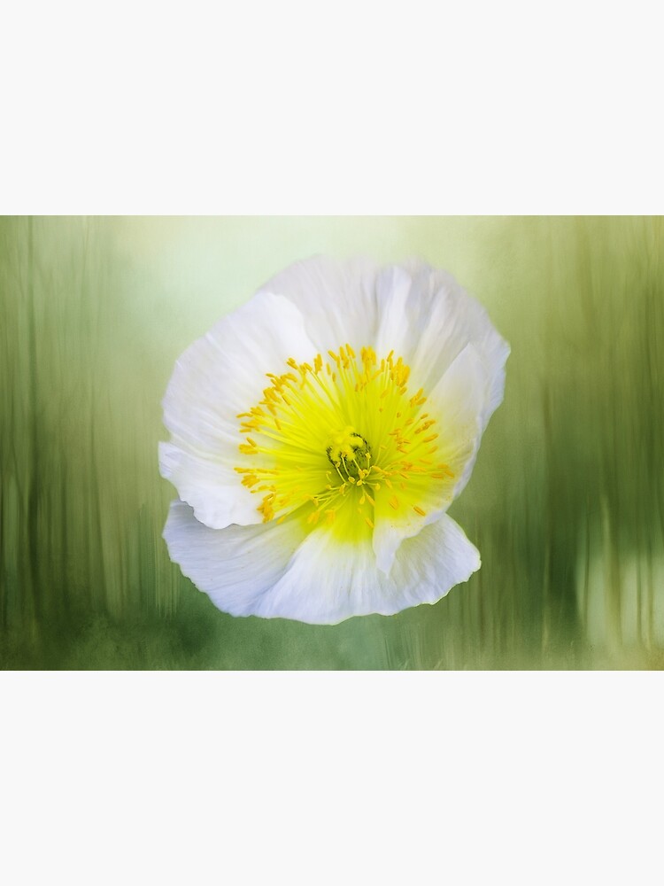 Forest Flower by TerryIKON
